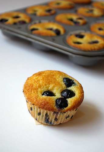 Blueberry Cornmeal Muffins III