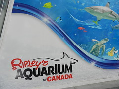 Toronto Aquarium Apr.'14