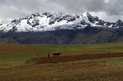 Peru, Chile and Ecuador