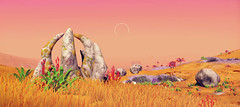 NMS View 10