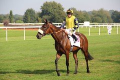 Doncaster Races September 2014