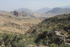 Sayq Plateau - As Sawjrah