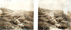 Soldiers building trench near Moronvilliers during WWI (stereoscopic glass plate, France)