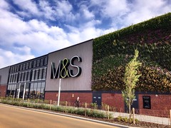 M&S Stores