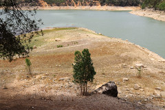 Dam - Embalse Buseo