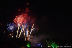 Feuerwerk Britzer Garten 2014