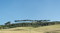 Puglia - Salento - 2014