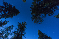 California - Yosemite 2014