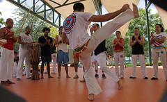Capoeira II at Bayfront Park, Miami