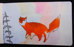 Cat Fox