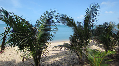 Koh Samui Maenam Beach サムイ島