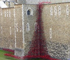 Tower of London, Anniversary of WWI, 2014