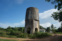 Taguayabón 2014