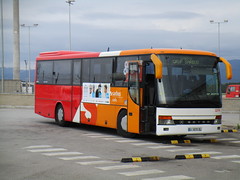 2014 Buses  