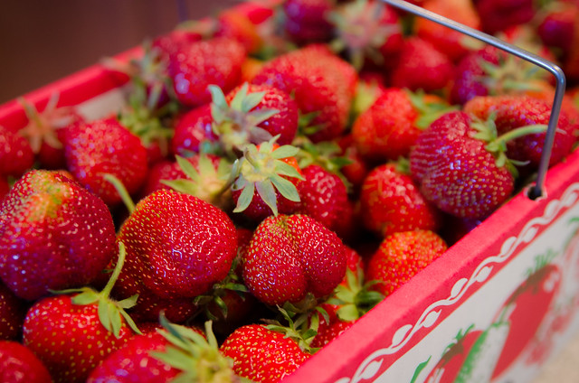 20140615-Strawberry-Picking-1616