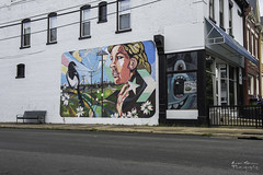 Richmond Va Street Art
