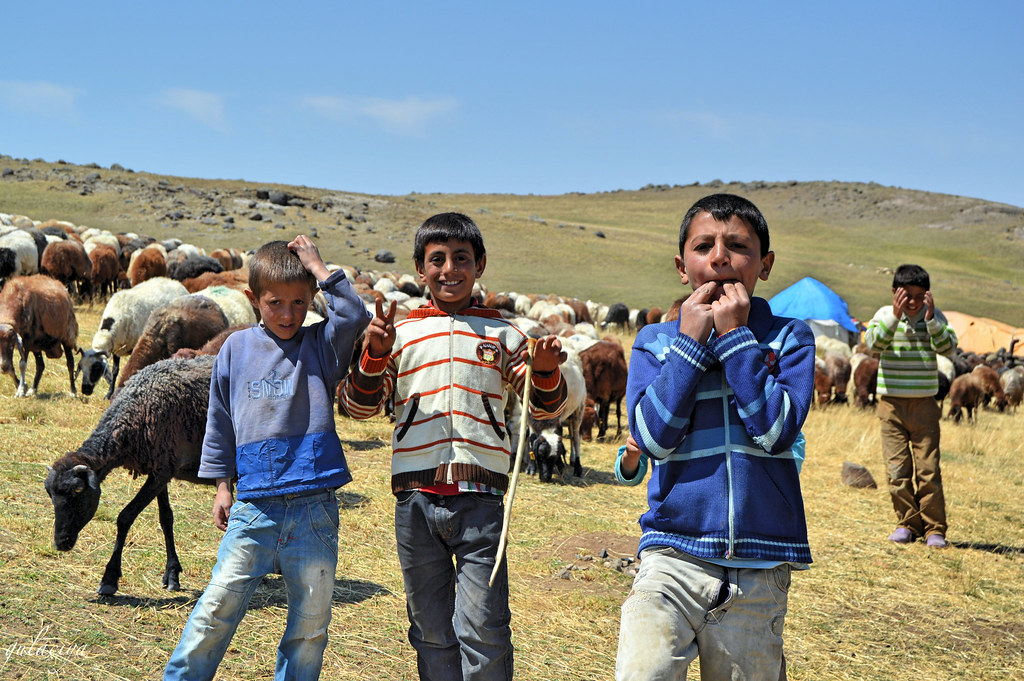 Agirî plateau. Child shepherds