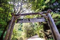 Muir Woods, CA