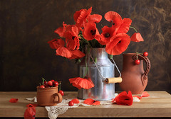 Still Lifes with Poppies