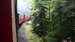 Harzer Schmalspurbahnen August 2014