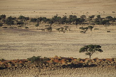 2014 | Namibia