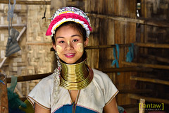 Hill Tribes (Thailand)