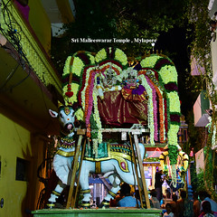 Sri Malleeswarar Temple
