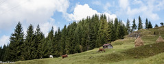 Romania rural