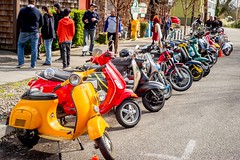Scooter Rallies 2017