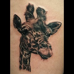 Check our this rad giraffe that Madison created! Please follow @madisontease on Instagram  SLC Ink Tattoo 1150 South Main Street Salt Lake City, Utah (801) 596-2061 www.slctattoos.com   Visit us on Facebook at www.facebook.com/slcink  Follow us on Instagr