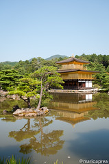 Kinkaku-ji Il padiglione d'oro
