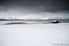 Voyage Norvège - J6 - 13/11/2012