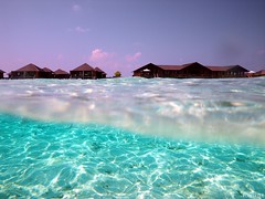 les Maldives sous l'eau