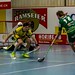 Unihockey Tigers - SV Wiler Ersigen (NLA), 12.02.2017