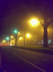 Misty & Foggy