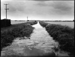 Lines, drains and droves - a Fenland Project in Large Format