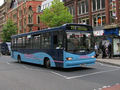 Bluebird Bus Photos