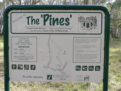 The Pines Reserve
