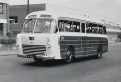 Birch Bros & Grey Green buses