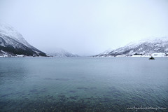 Voyage Norvège - J5 - 12/11/2012