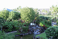 Big Island - Fairmont Orchid Hotel, Hawaii