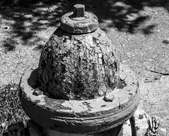 fire hydrant top (1 of 1)