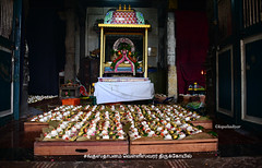 Sangabishekam - Velleeswarar Temple.