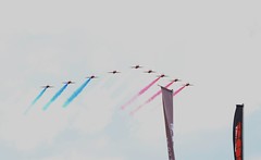 the Red Arrows 