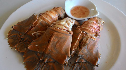 Koh Samui Rock robster サムイ島せみえび