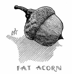 Fat Acorn