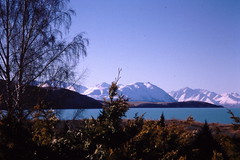 Lake Tekapo, New Zealand 1996