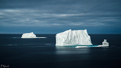 Ice and Icebergs