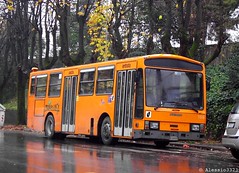 CTT Nord - ATN/CAT Massa Carrara buses