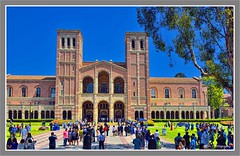 UCLA 2014
